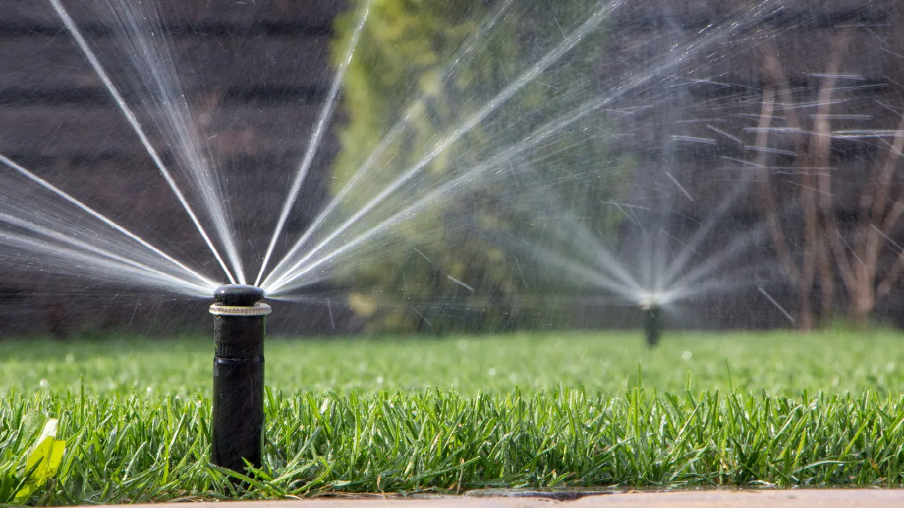 Sprinkler with water spray on green lawn